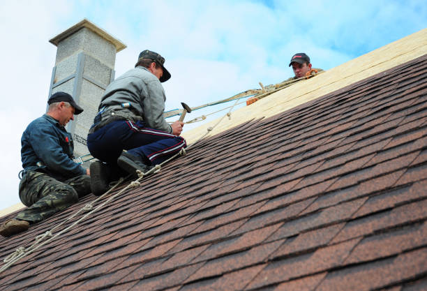 Best Storm Damage Roof Repair  in Brook Highland, AL
